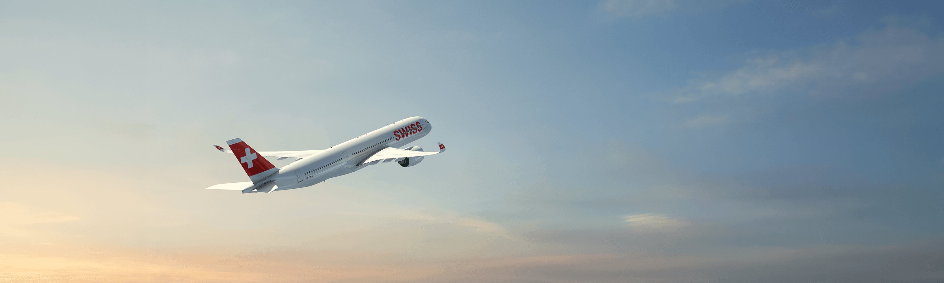 Swiss IMG